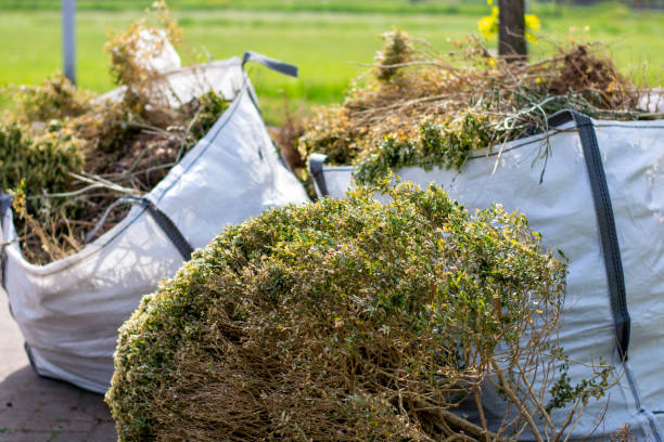 Best Yard Waste Removal  in Hopkinsville, KY